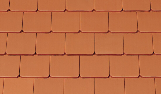 AMBIENTE EGYENESVÁGÁSÚ (HÓDFARKÚ)